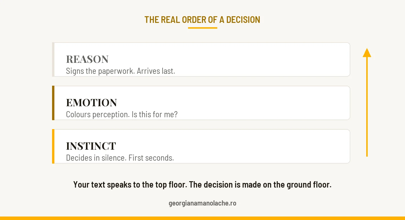 The three floors of a decision: instinct decides, emotion colours, reason signs the paperwork