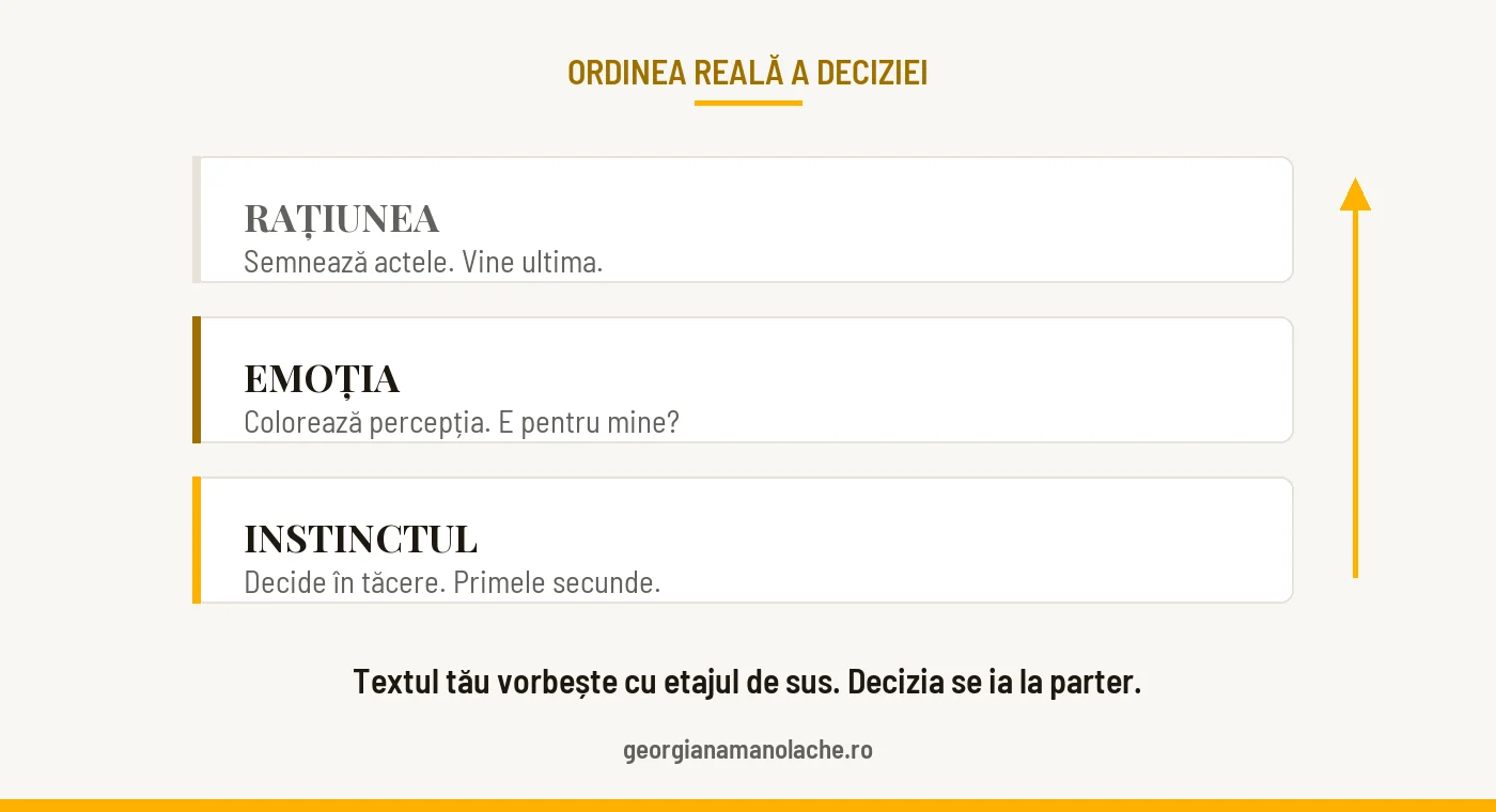 Cele trei etaje ale deciziei: instinctul decide, emoția colorează, rațiunea semnează actele