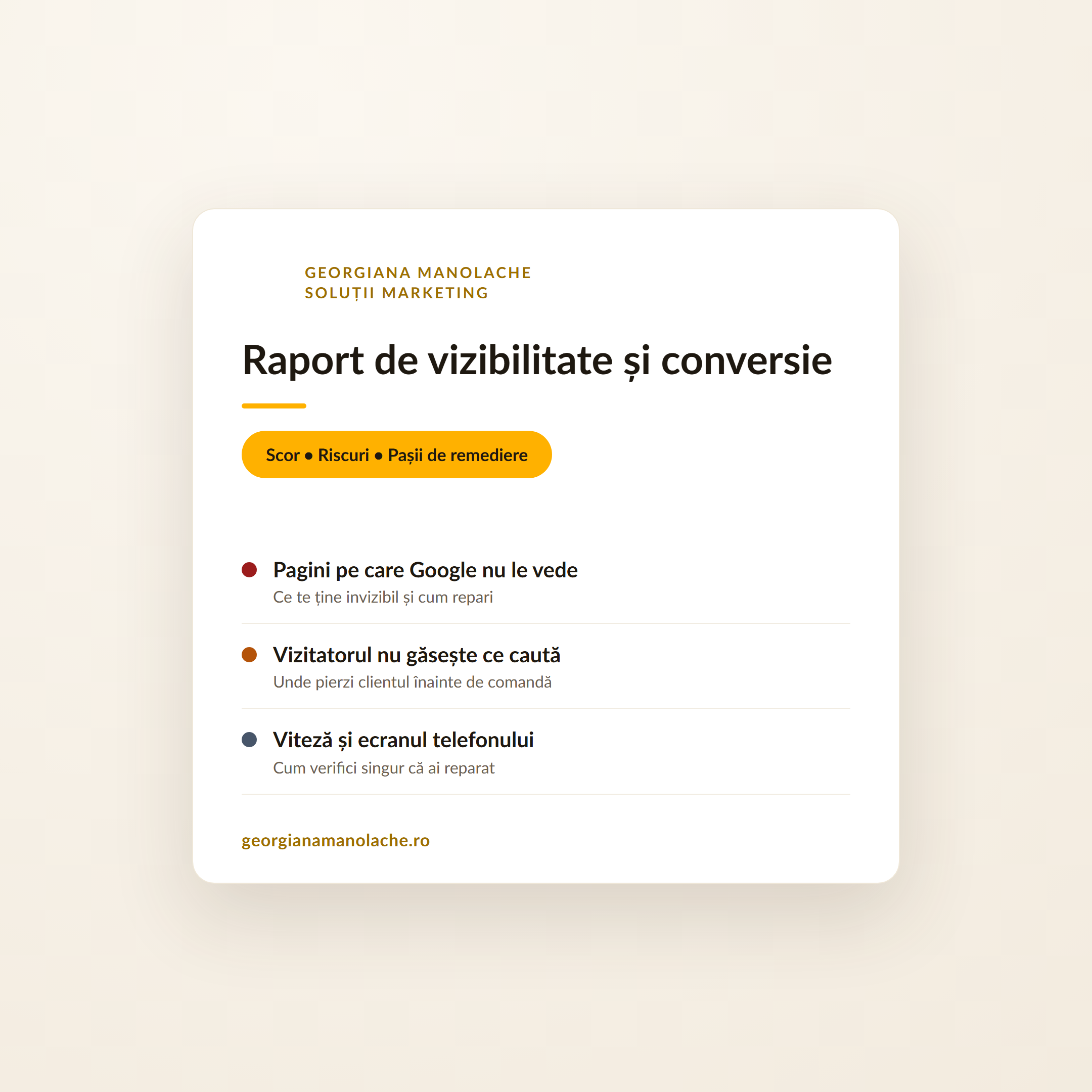 Pagină din raportul de vizibilitate și conversie